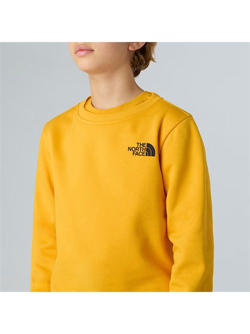 Felpa NSE Box da ragazzi THE NORTH FACE | NF0A89H7/56P1